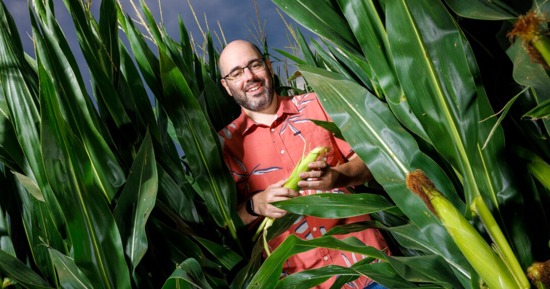 With a three-year, nearly $1 million grant from the National Science Foundation, the University of Nebraska–Lincoln’s James Schnable will help develop the first digital twin of a corn field, enabling researchers to quickly test countless what-if scenarios related to corn performance. (Craig Chandler/University Communication and Marketing)